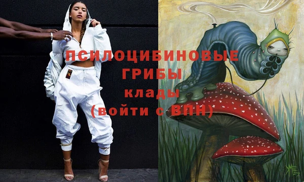 стафф Абаза