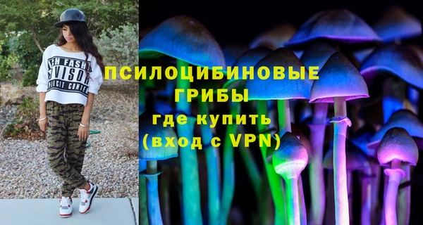 гашик Михайлов