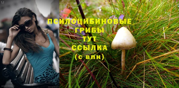 трава Михайловка