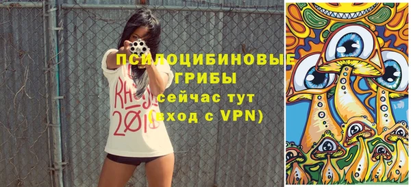 гашик Михайлов